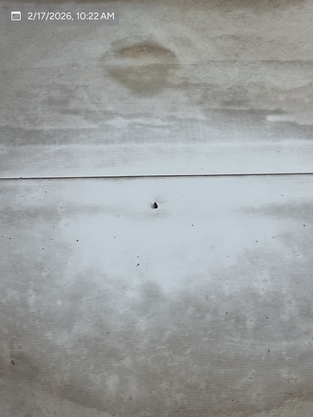 Commercial TPO roof surface with a puncture identified for repair