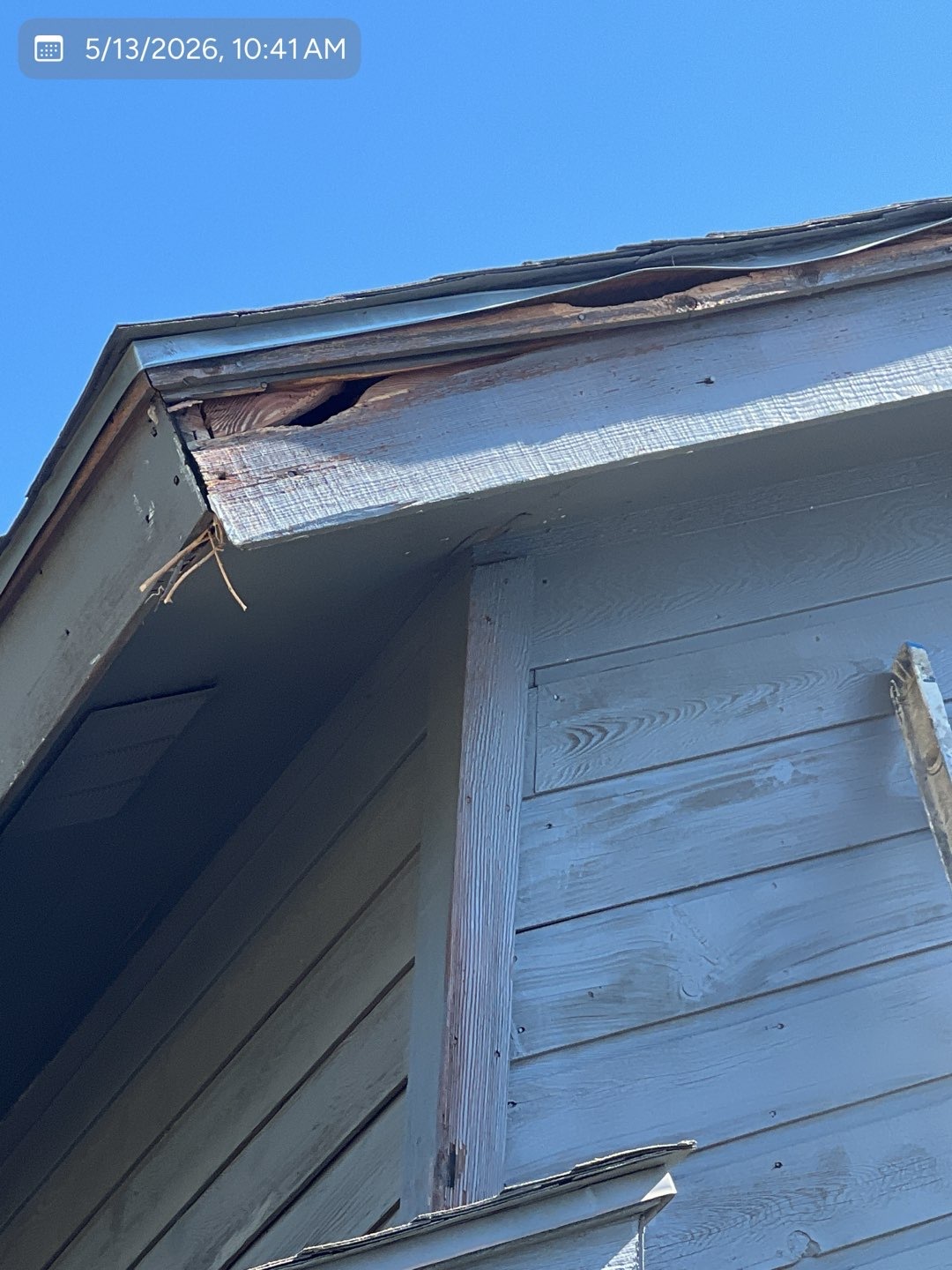 Exterior fascia and trim damage caused by rodents before repair