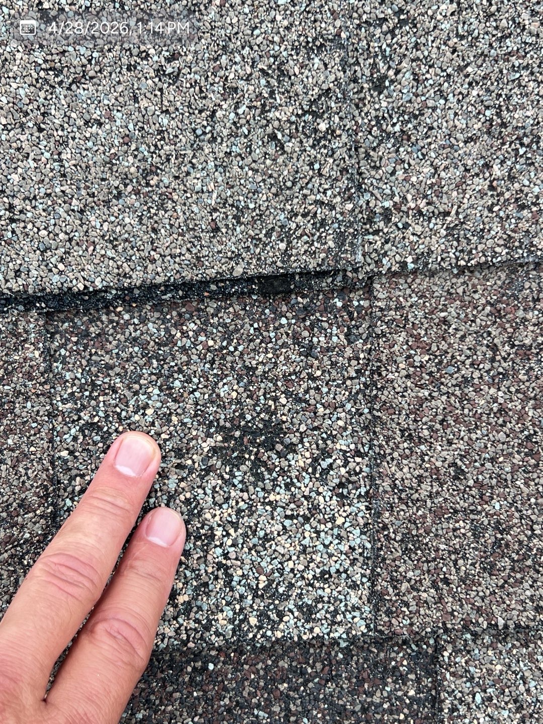Close-up inspection of a shingle surface showing a possible impact area