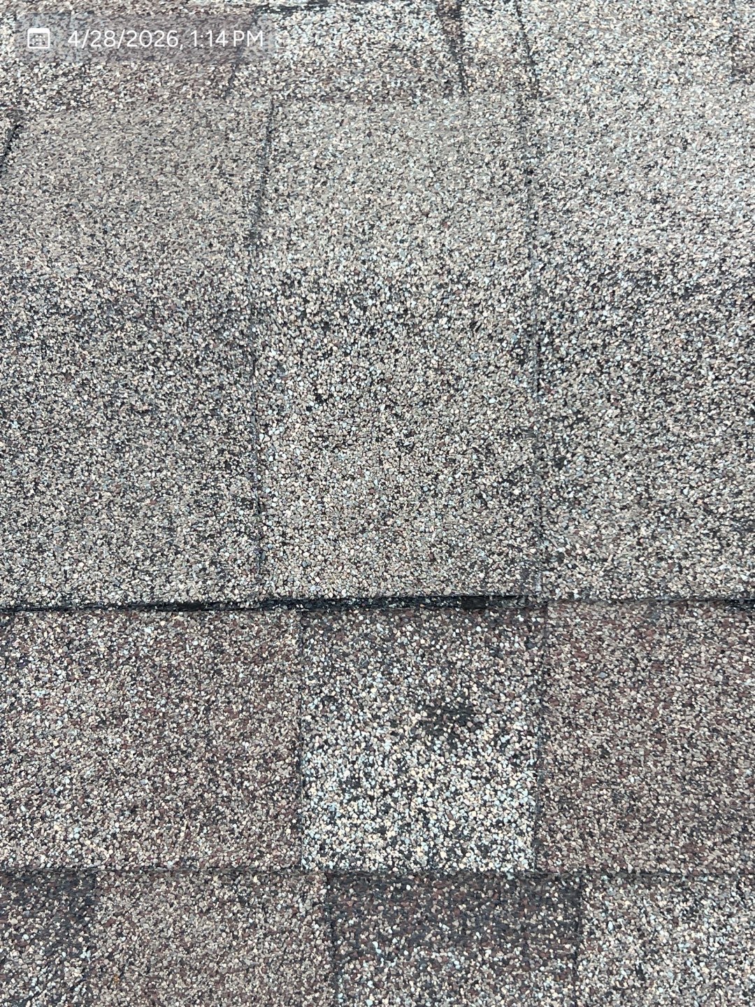 Close-up of a shingle impact area documented during an MVP inspection