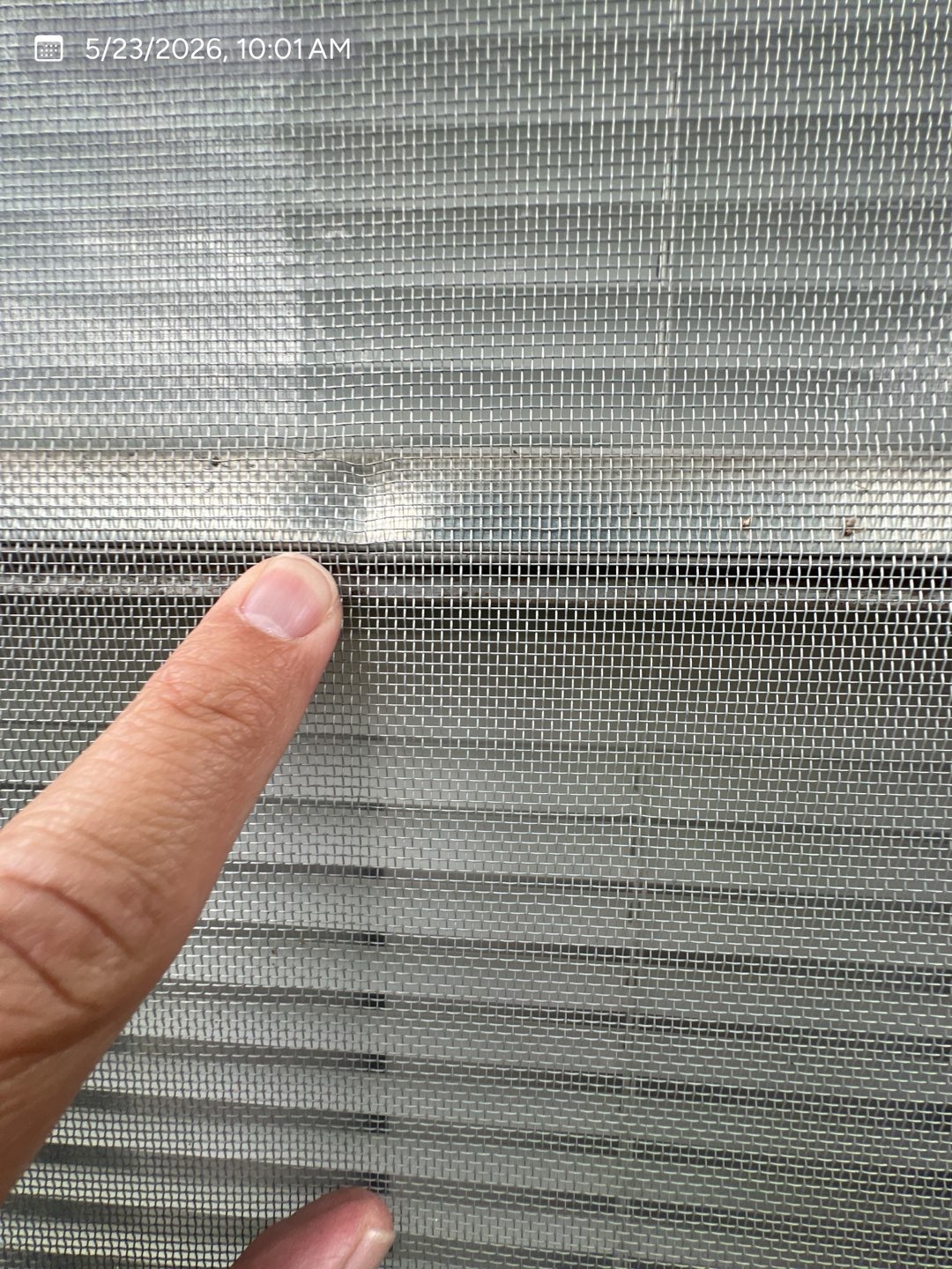 Damaged window screen documented during an MVP exterior inspection